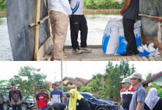 Bupati dan Wabup Pringsewu Tinjau Poktan Perikanan di Tanjung Dalam 