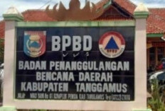 BPK Temukan Kekurangan Volume Proyek Bencana BPBD Tanggamus, Kelebihan Bayar Rp85,7 Juta