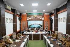 Umi Laila Hadiri Rakor Pengendalian Inflasi Daerah