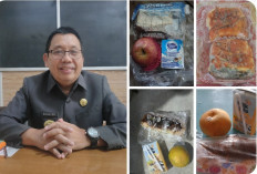 Menu MBG di Tanggamus Dikeluhkan, Roti Berjamur Hingga Buah 'Secuil', Begini Tanggapan Kasatgas MBG