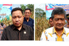Pemkab dan DPRD Tanggamus Apresiasi Panen Jagung Polres, Produktivitas Tembus 9 Ton per Hektare