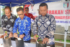 Bupati Pringsewu Canangkan Gerakan Tanam Cabai, Tekan Inflasi dari Pekarangan Rumah