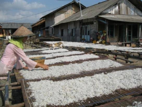 Produksi dan Kualitas Ikan Asin Bertambah Selama Musim Kemarau