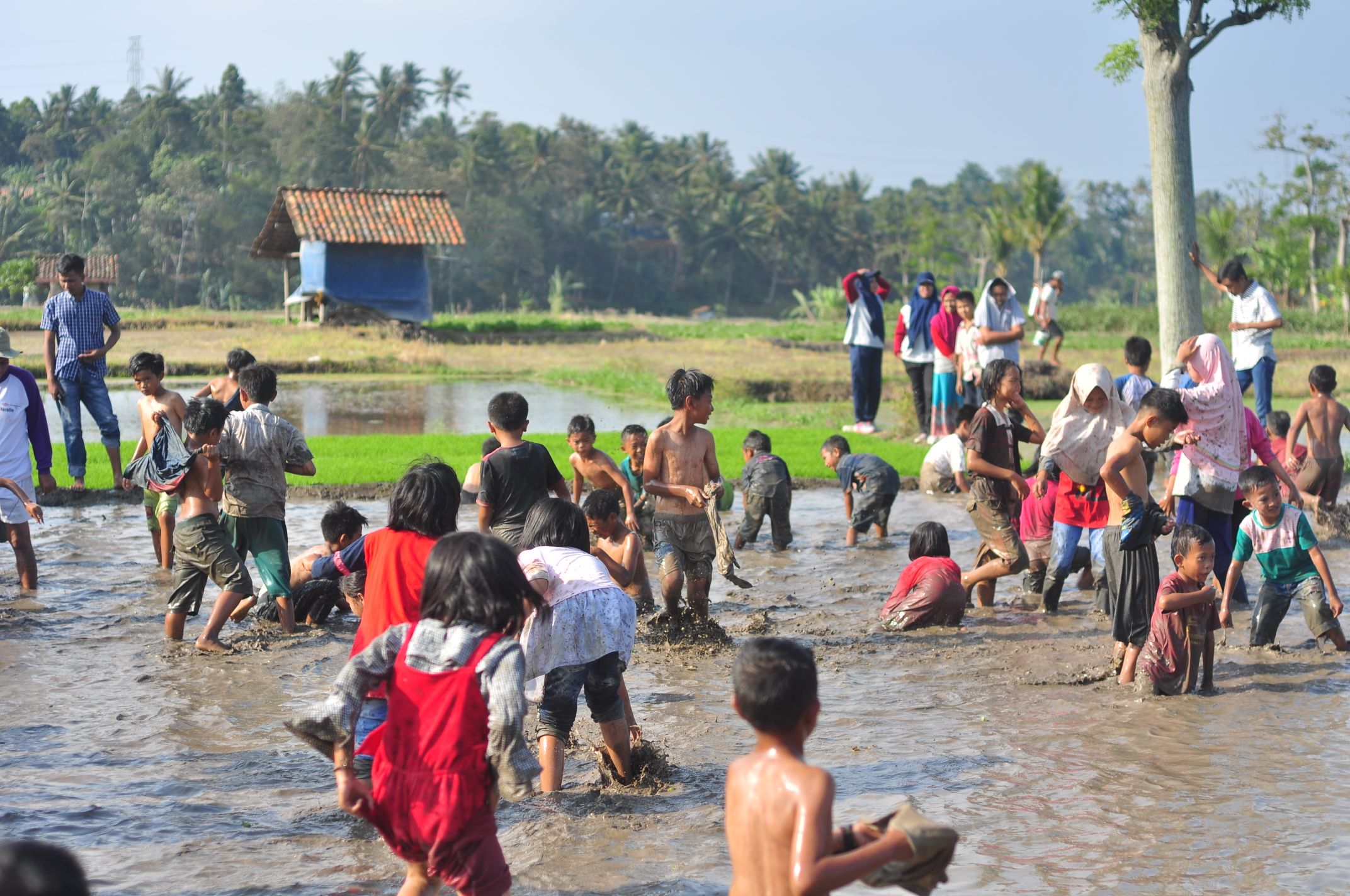 Meriahkan HUT RI, Warga  Banjarmanis Tangkap Ikan di Sawah