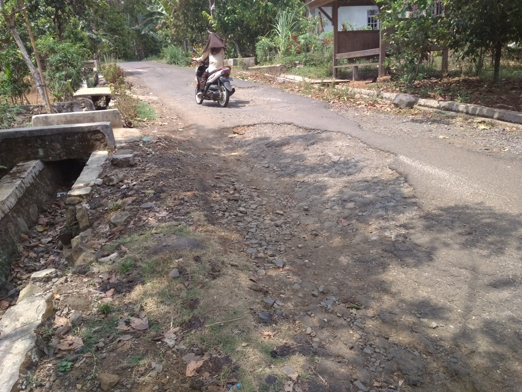 Jalan Rusak di Pekon Karta Dikeluhkan Warga