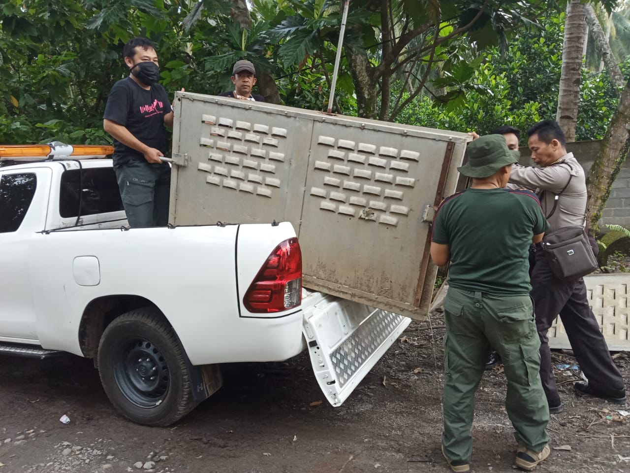 Tim BKSDA Kembali Pasang Perangkap Buaya