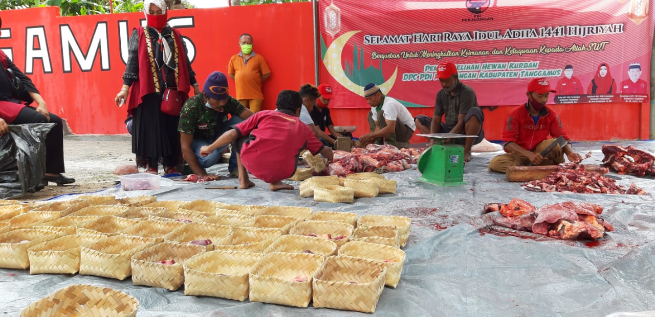 PDIP Kurban Satu Ekor Sapi dan Kambing