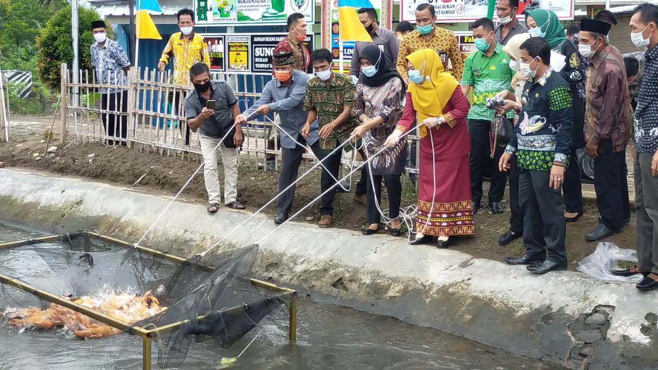 Pekon Kejadian Bakal Jadi Pilot Project