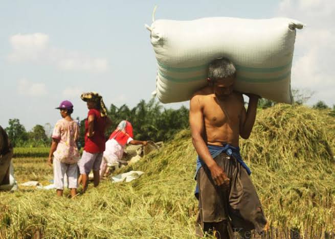 Bantuan Untuk Petani Masih Kurang