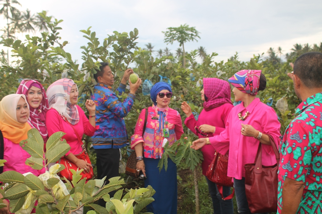 Fokus Perbaikan Infrastruktur Pariwisata