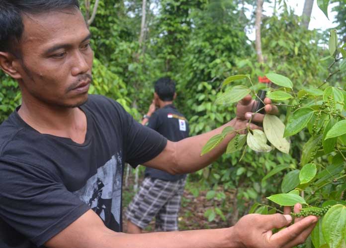 SAM-NI Akan Perjuangkan Usulan Masyarakat