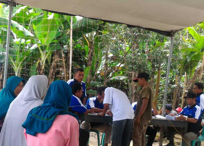 Diterjang Banjir, 6,5 ha sawah di Semaka Alami Puso