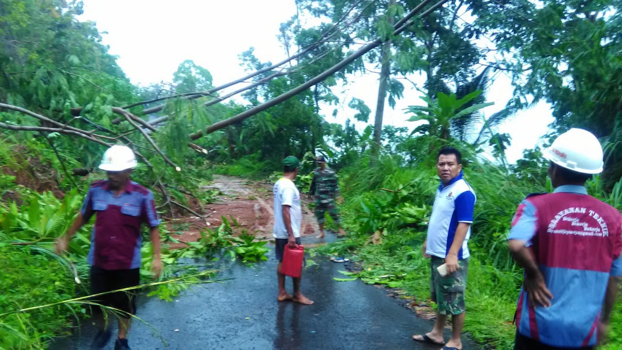 Hujan Deras, Jalan Penghubung Kecamatan Limau dan Cukuh Balak Longsor