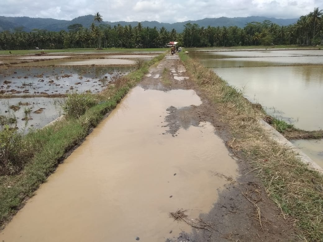 Lapor Bu Bupati, Jalan “Pak Tani” Rusak !