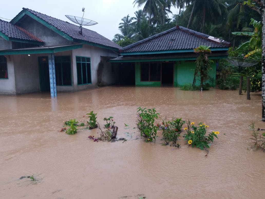 Kecamatan Semaka dan Kotaagung Barat Diterjang Banjir, Puluhan Rumah Terendam