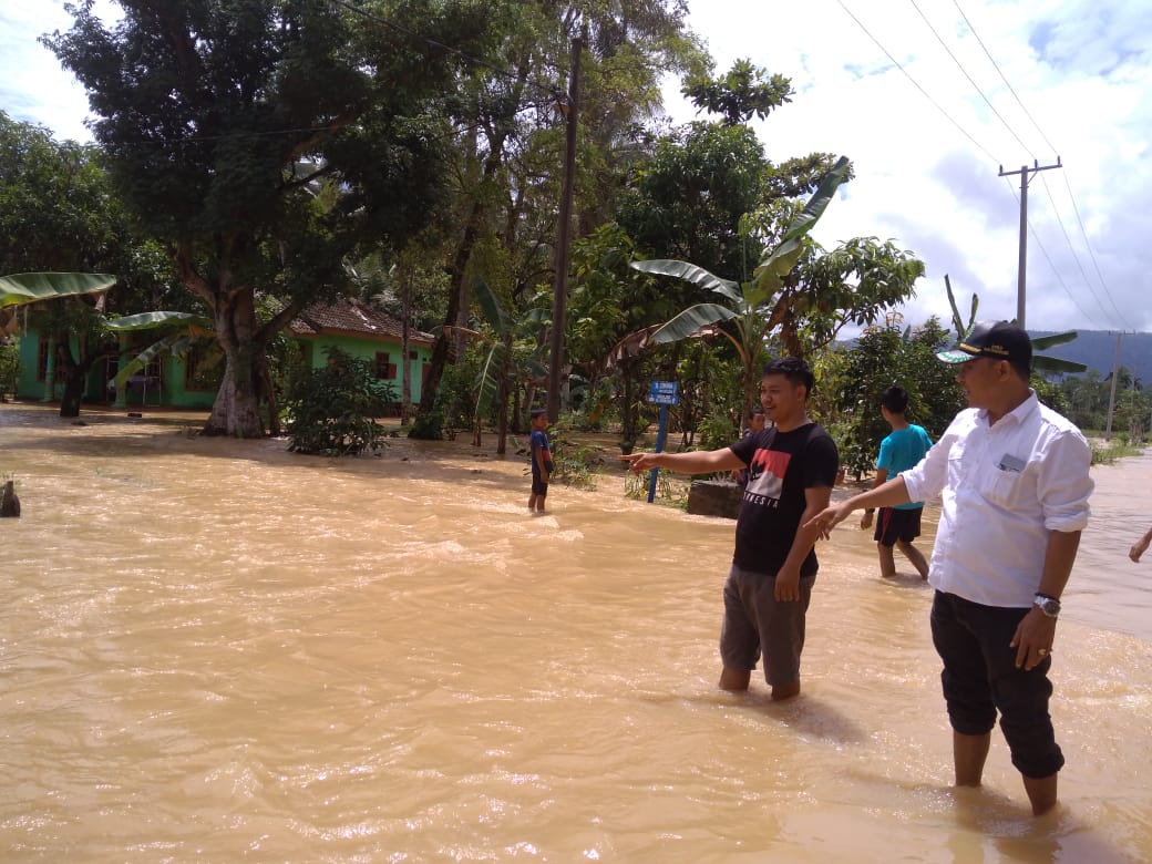 Lima Pekon dan Ratusan Hektare Sawah Terendam, Petani : “Dua Hari Lagi Panen”