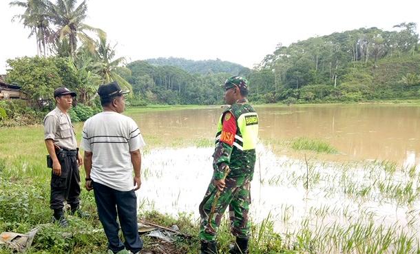 Sungai Meluap, Banjir Rendam 6 Hektare Sawah Siap Panen