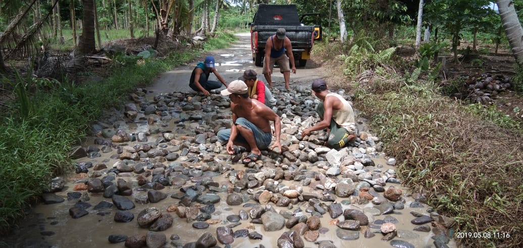 Masyarakat Pekon Waypanas Swadaya Timbun Jalan Berlubang