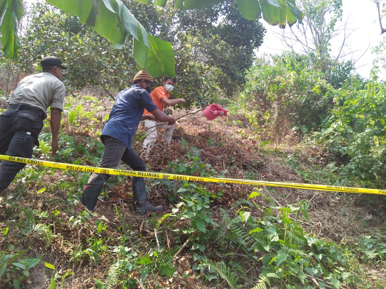 Mayat Pria Dikebun Cengkeh Gegerkan Warga Kiluan