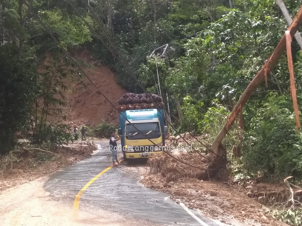 Tertimpa Pohon, Kabel Listrik Masih Melintang di Jalinbar Sedayu