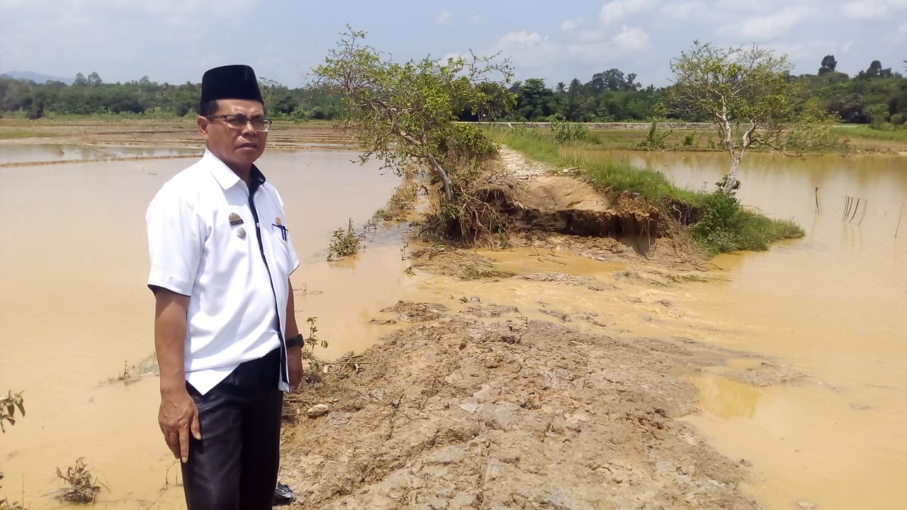 Way Waya Meluap, Jalan Terputus, Sawah Rusak