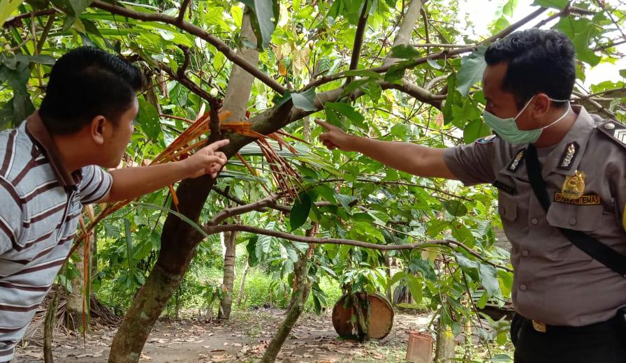 Seorang Nenek Nekat Gantung Diri Dipohon Jambu