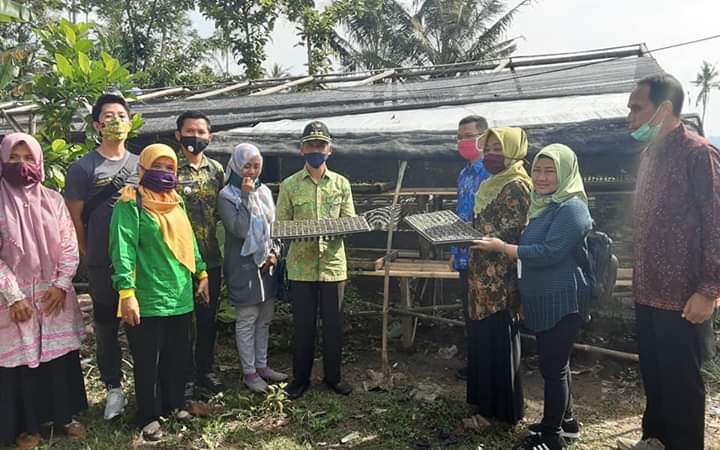 KWT Berhasil Kembangkan Bawang Merah Polybag