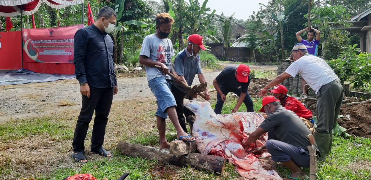 PDIP Tanggamus Berbagi Daging Kurban