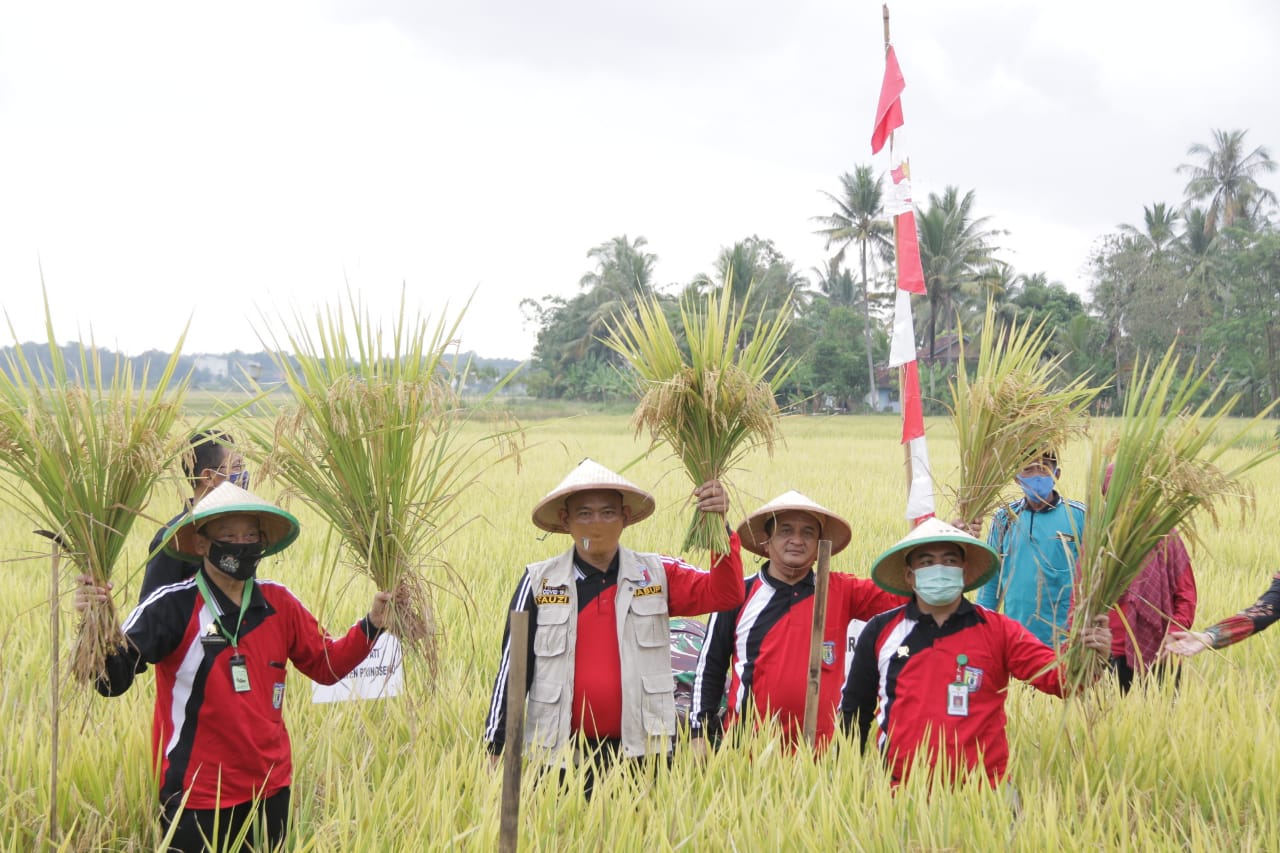 Petani Bisa Ngadu Via Call Centre