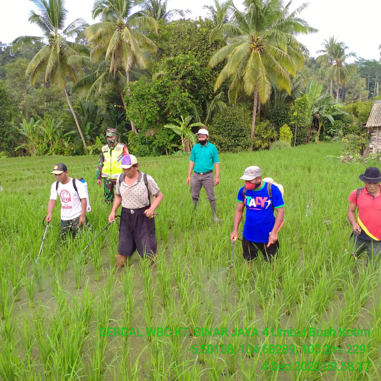 Dinas Pertanian Klaim Hanya 4,3% Lahan Puso