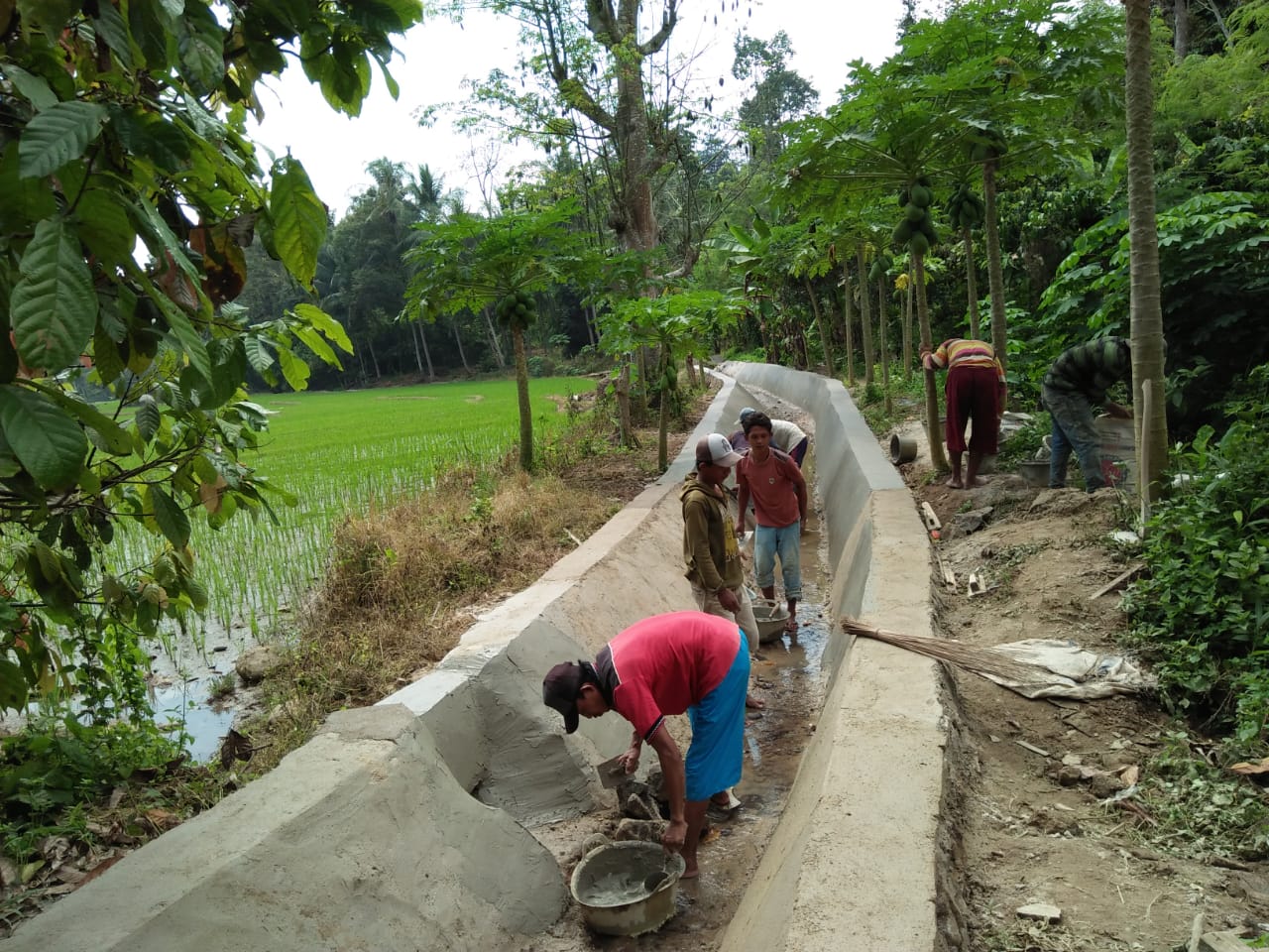 Dukung Sentra Pertanian, Dinas PUPR  Rehab Saluran Irigasi