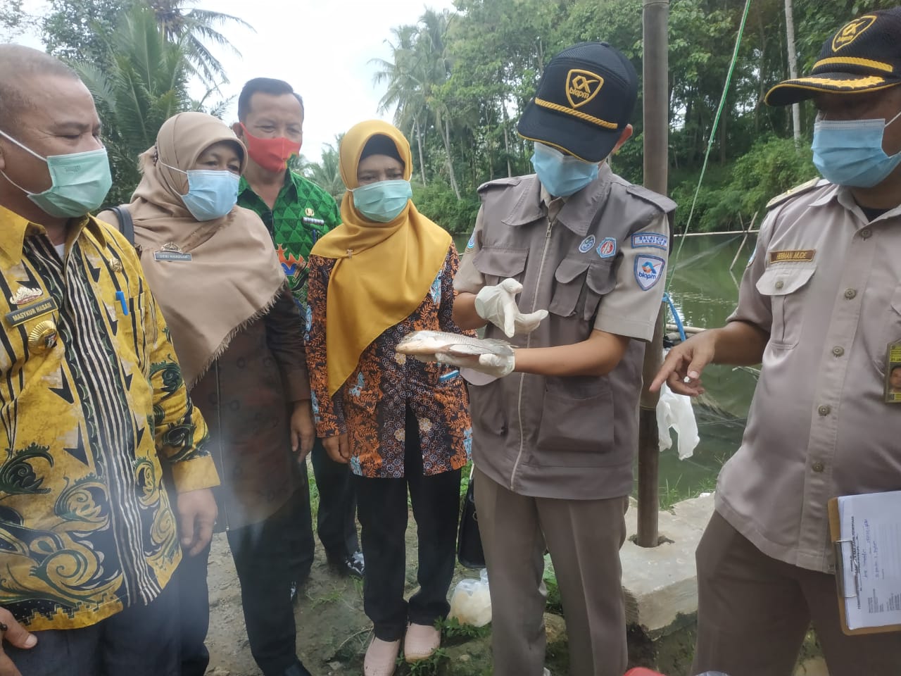 Dinas Perikanan Pringsewu Turun Ambil Sampel Ikan yang Terkena Penyakit