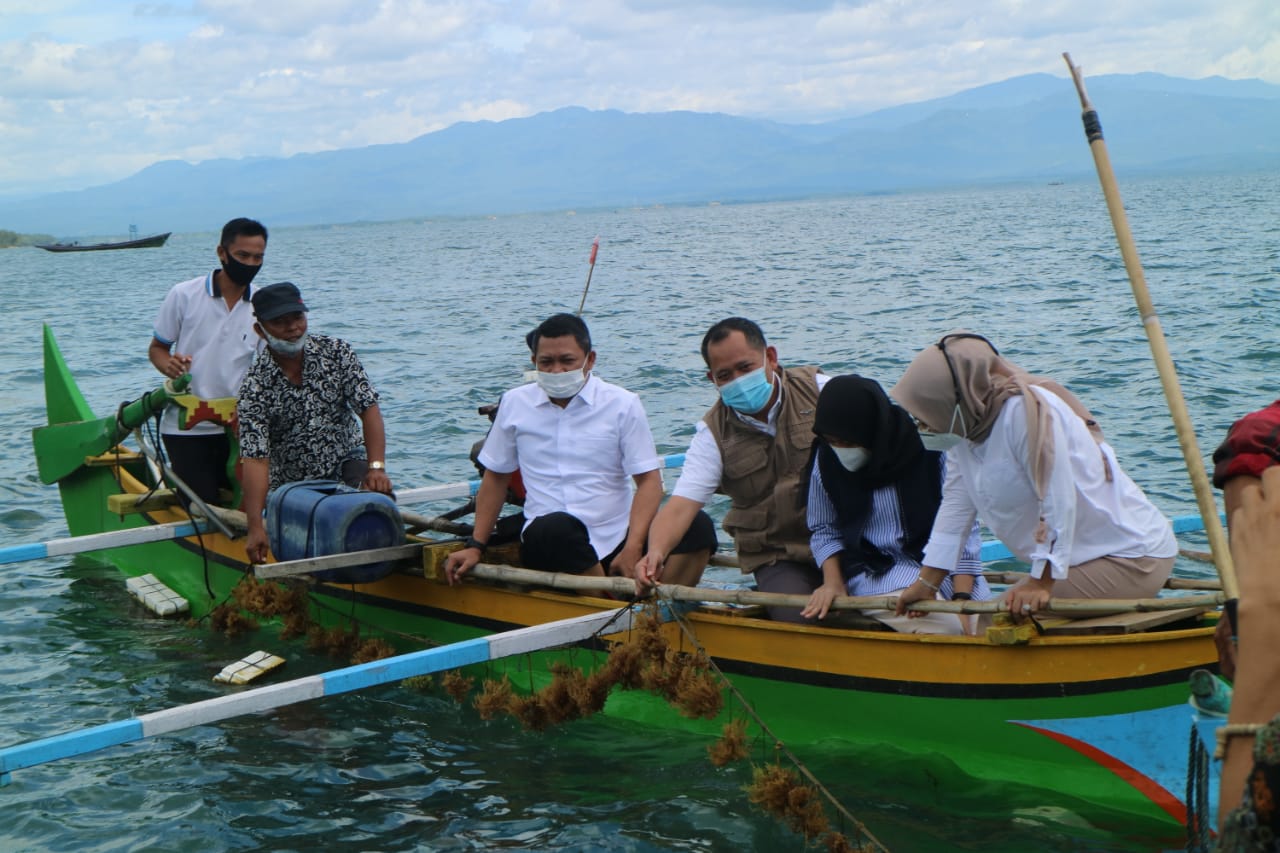 Wabup Apresiasi Budidaya Rumput Laut