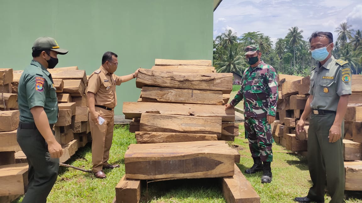 Polhut dan TNI Patroli,Temukan Ratusan Batang Kayu Sonokeling Hasil Pembalakan Liar