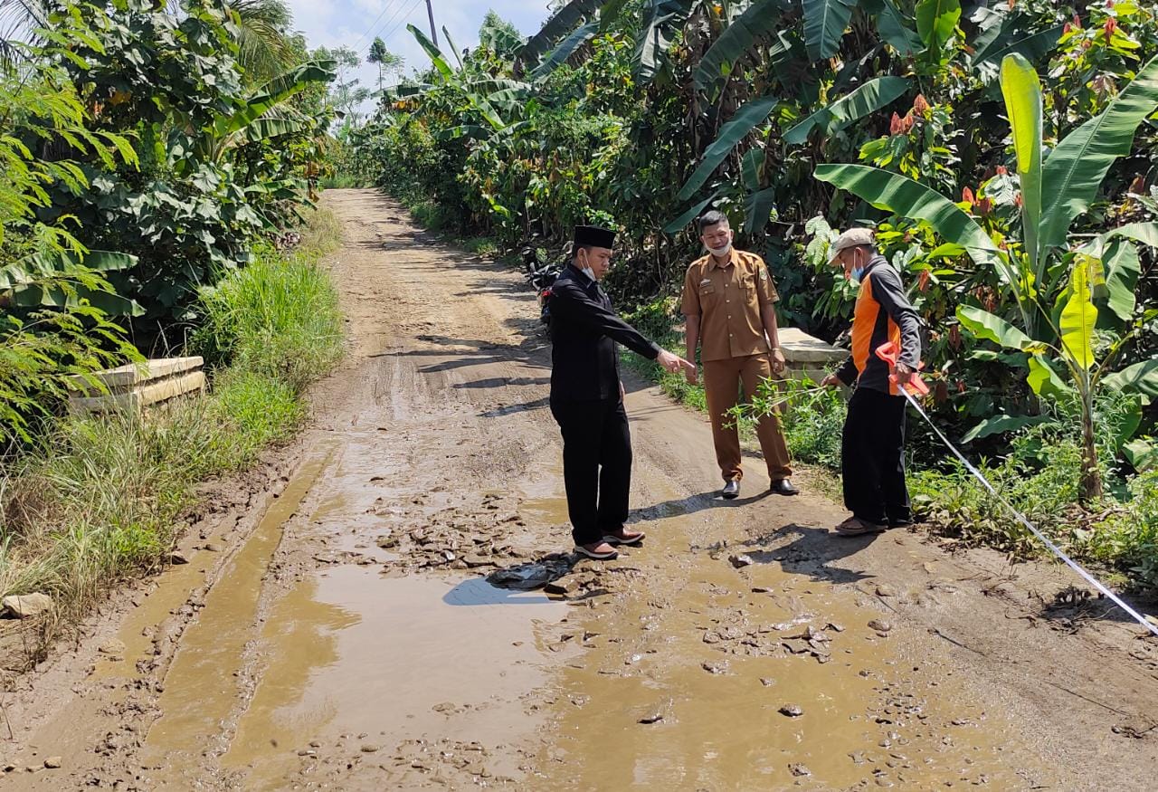 Berkat Perjuangan Irsi, Tahun Ini Jalan Poros di Pulaupanggung Dibangun