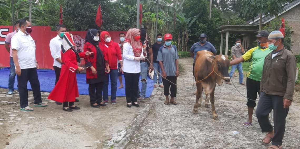 Idul Adha, PDIP Tanggamus Berbagi Daging Kurban & Sembako