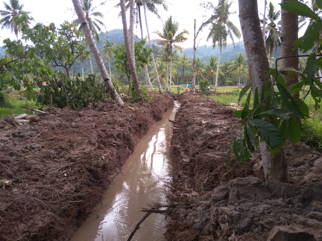 Pakai DD, Pekon Sukaraja Normalisasi Sungai Sepanjang 1 Km