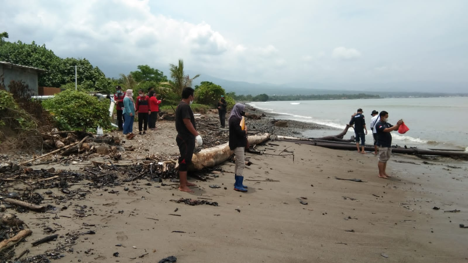 Dinas LH Tunggu Hasil Lab Limbah Di Pantai Harapan