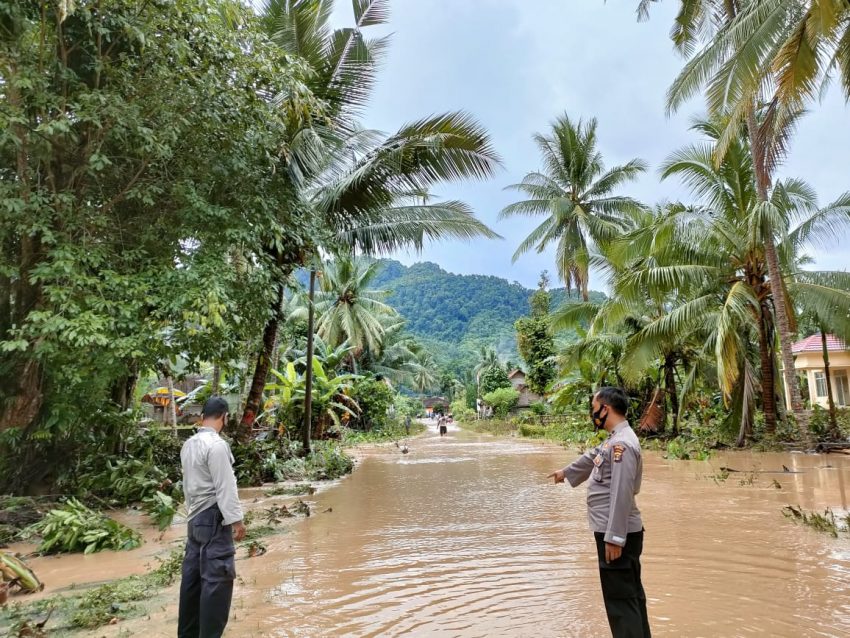 Sungai Meluap Sebabkan Banjir di Pekon Napal