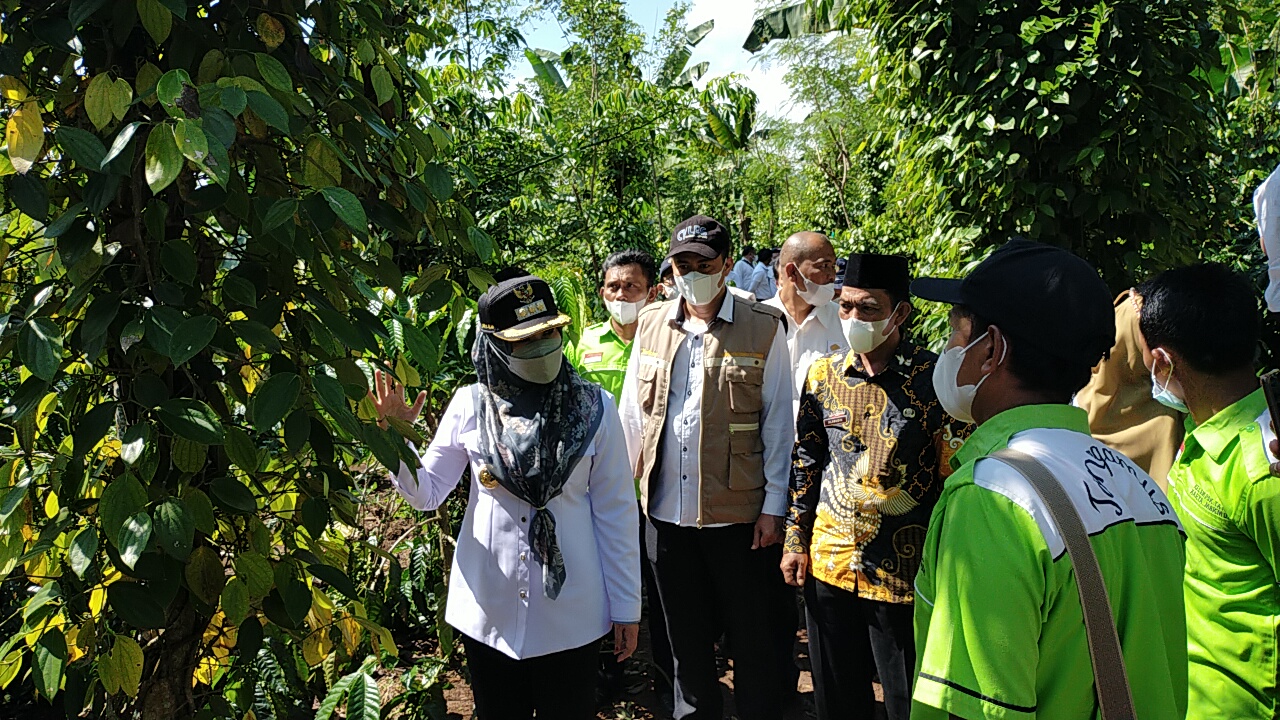 Bupati Kunjungi Calon Lokasi I-Care