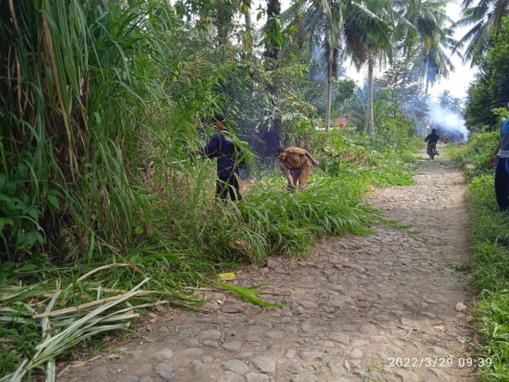 Masyarakat Pekon Sampangturus Gotong-royong Bersihkan Jalan