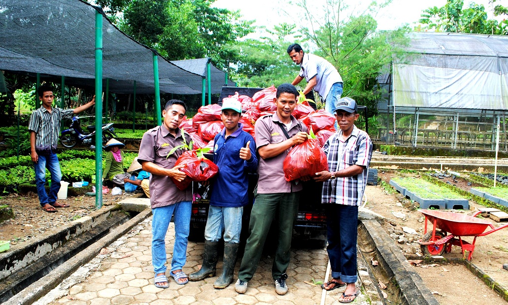 Tahun Ini Persemaian Permanen Tanggamus Produksi 800 Ribu Bibit Pohon