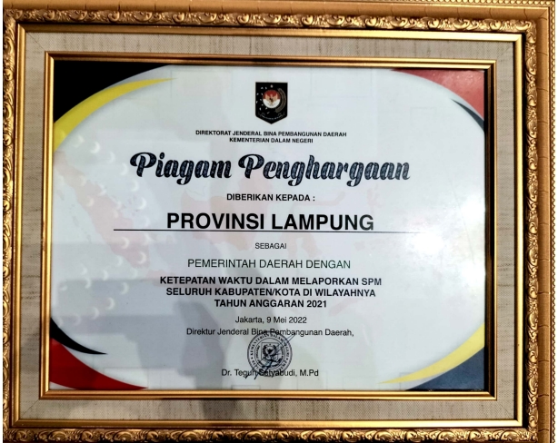 Pemprov Lampung Terima Penghargaan Bidang Pelayanan