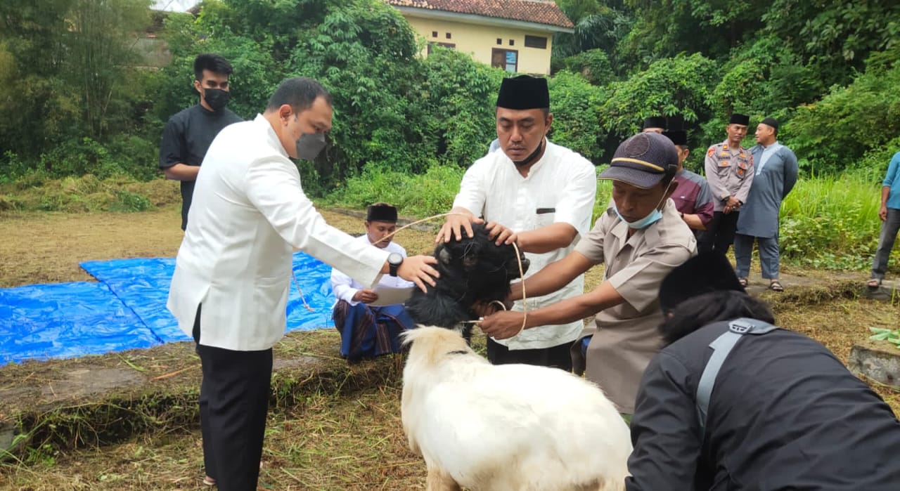 Polres Tanggamus Bagikan 350 Paket Daging Kurban