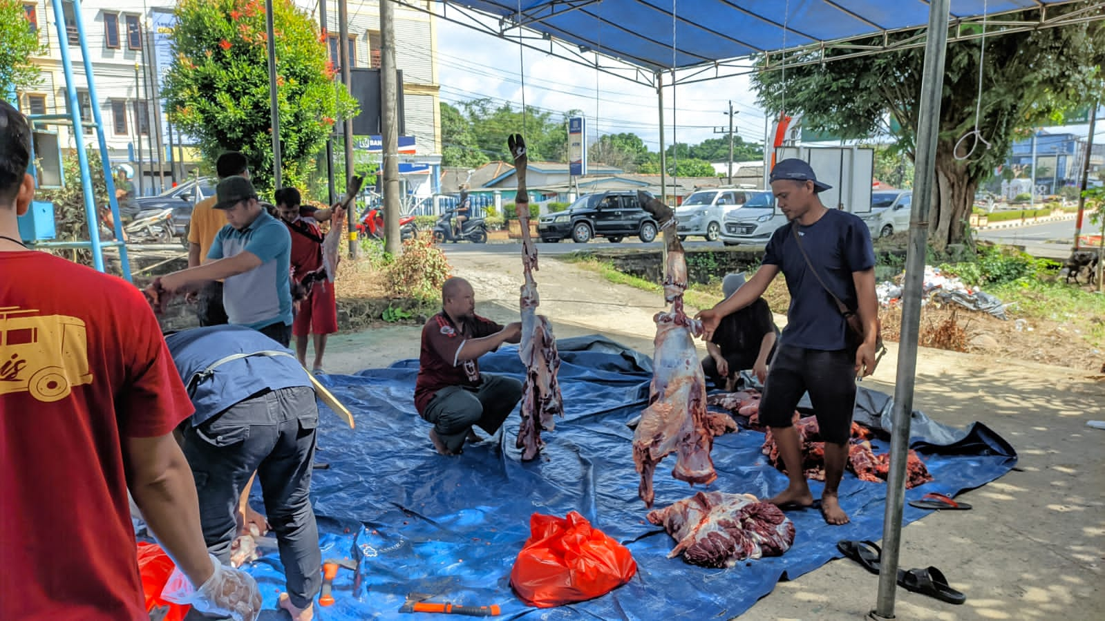 Kompak, JMSI dan PWI Babel Kurban 4 Sapi dan Kambing