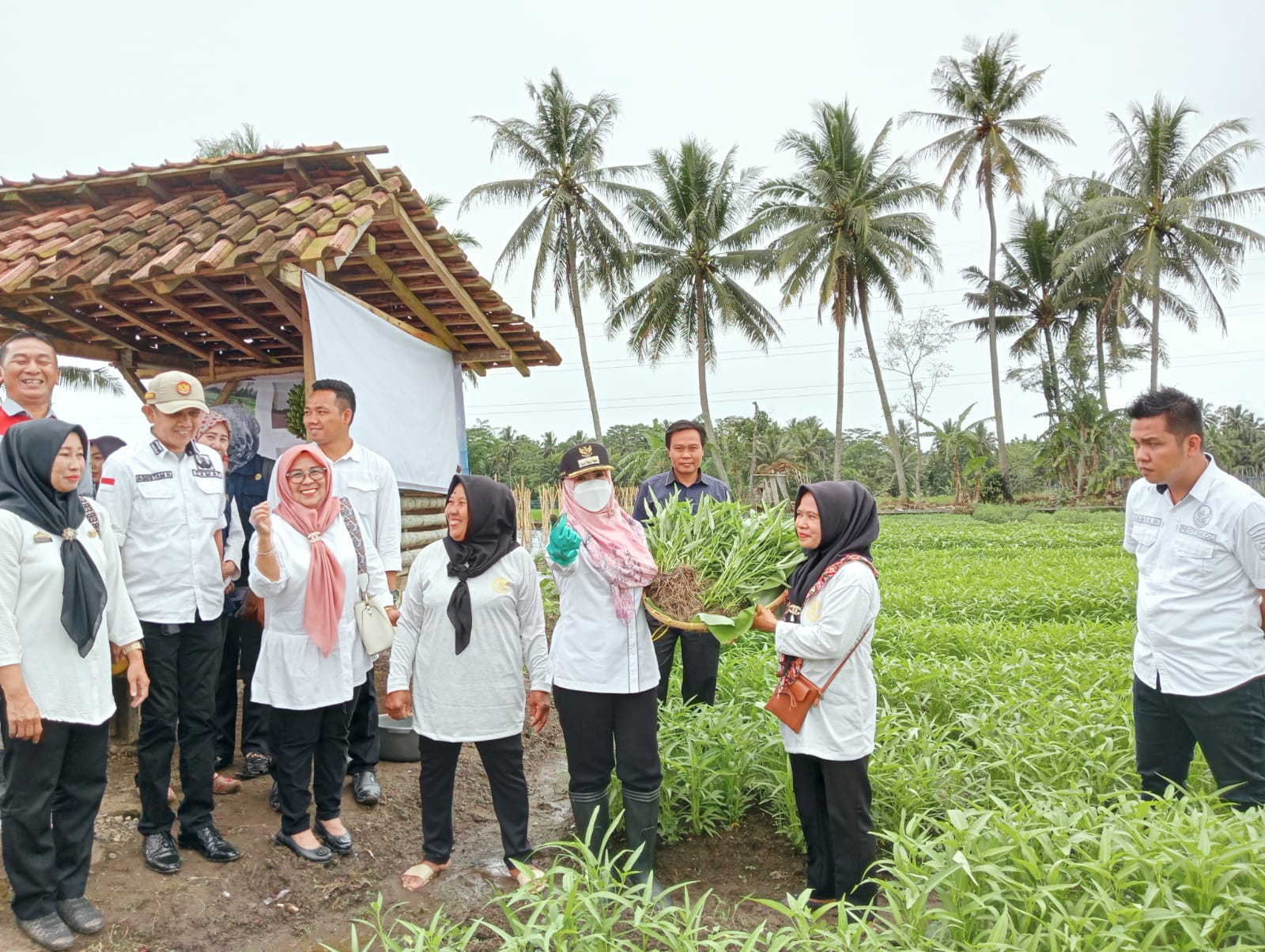 Tingkatkan Pendapatan, Bupati Ajak KWT Kreatif