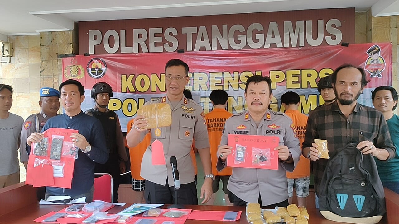 Tangkap 6 Pengedar Ganja, Satresnarkoba Polres Tanggamus Amankan 1,858 Kg Ganja