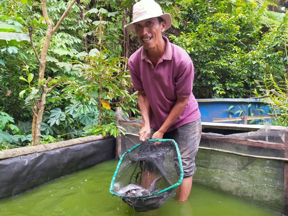 Kreatif, TP PKK Gistingbawah Budidaya Ikan Lele