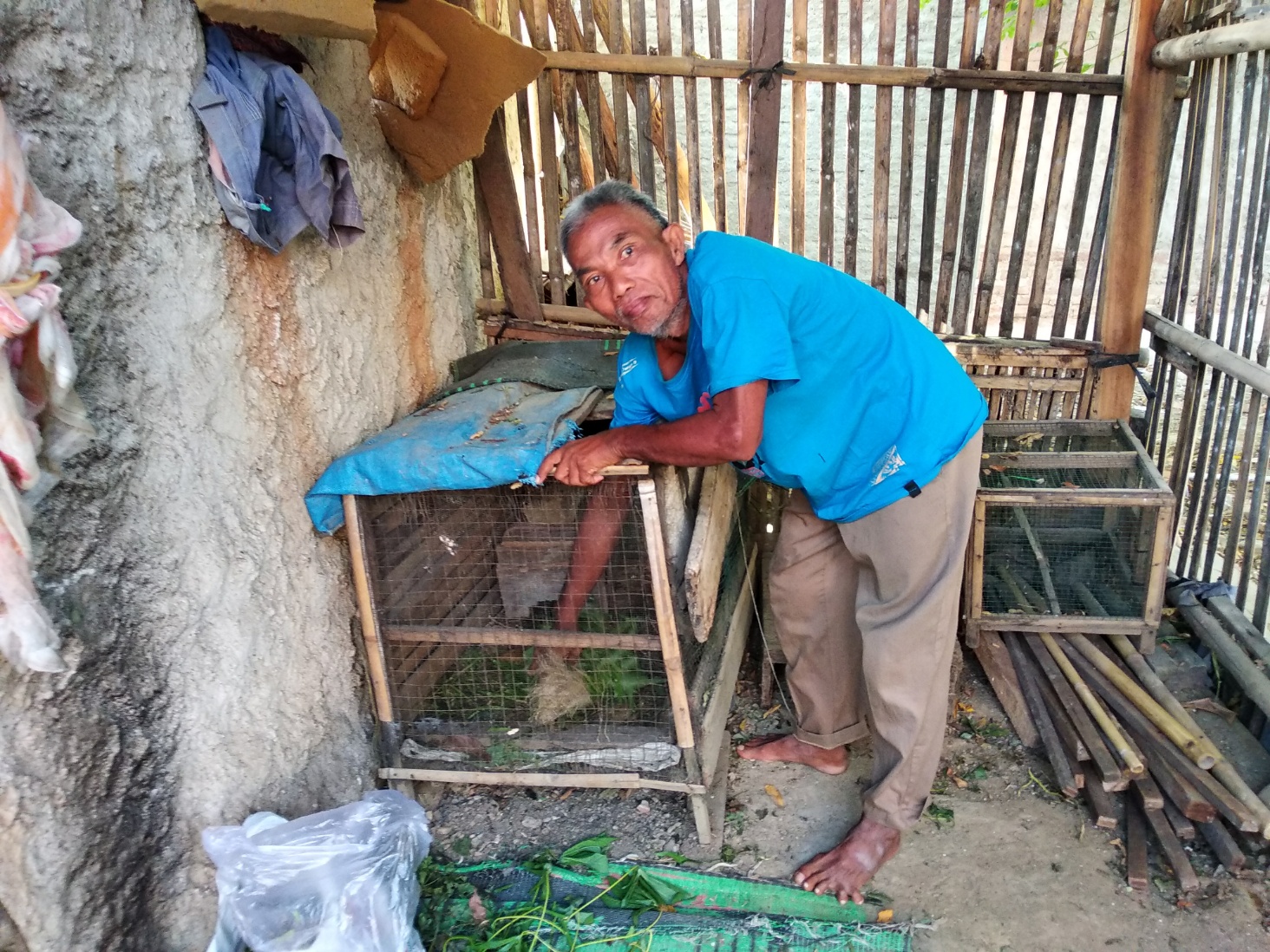 Hidup di Pinggir Sungai, Makan dari Menanam Kangkung