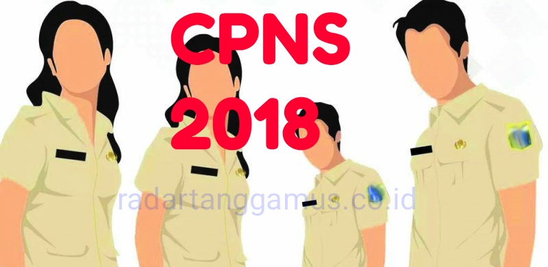 136 Pendaftar Dinyatakan TMS, Hingga Penutupan Tembus 4.668 Pelamar CPNS